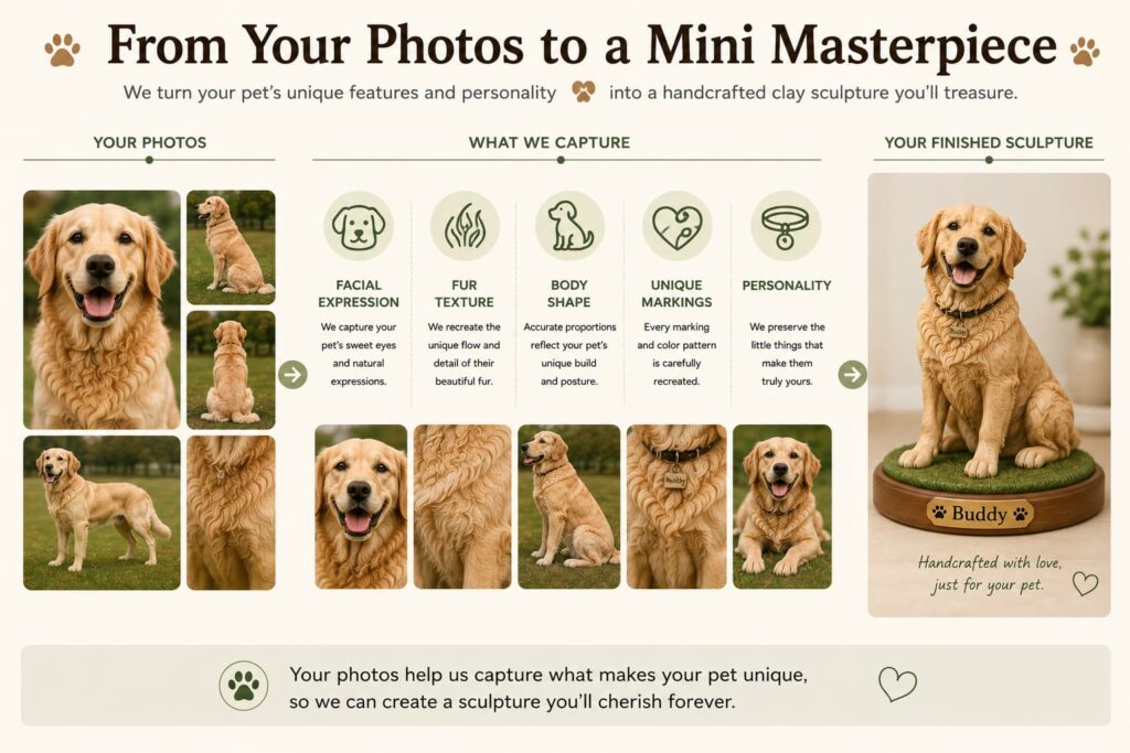 Custom Pet Sculptures: Turning Your Pet Photo Into Handmade Artwork How pet photos are used to create a personalized polymer clay pet sculpture